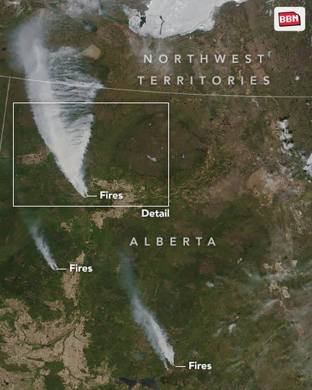 Photo: Alberta