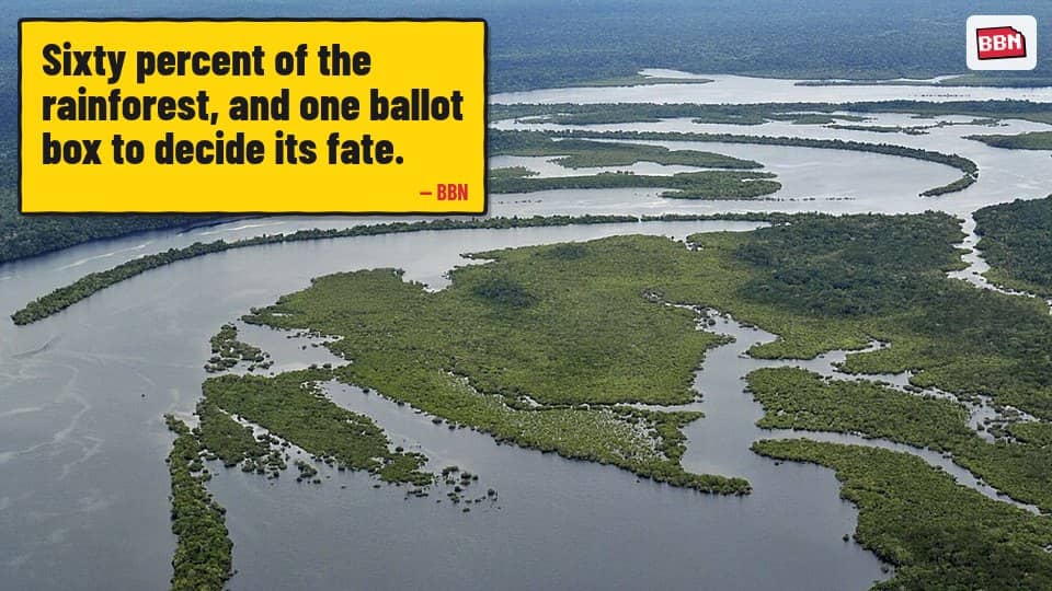 Photo: Amazon rainforest