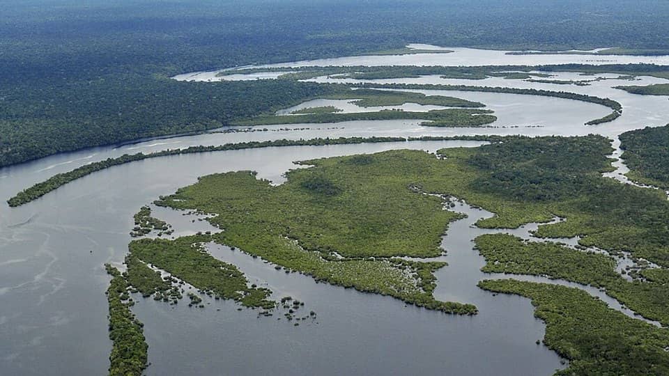 Photo: Amazon rainforest