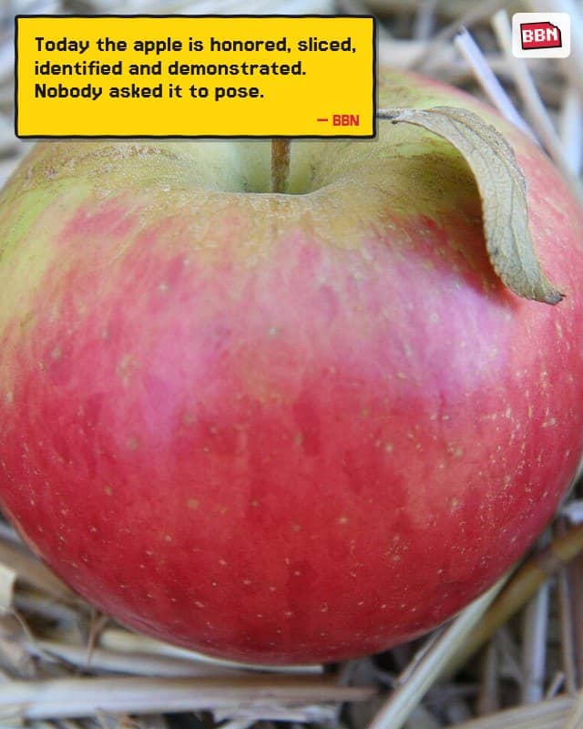 Photo: Apple
