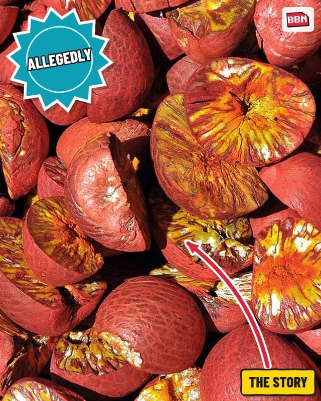 Photo: Areca nut