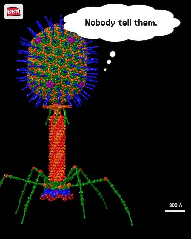 Photo: Bacteriophage