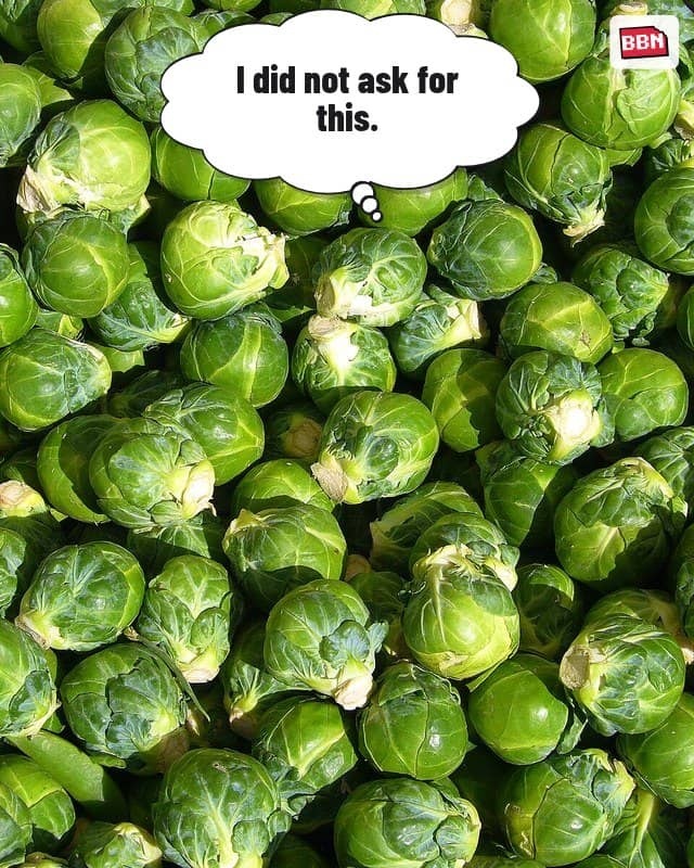 Photo: Brussels sprout