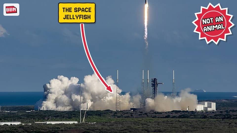 Photo: Cape Canaveral Space Force Station