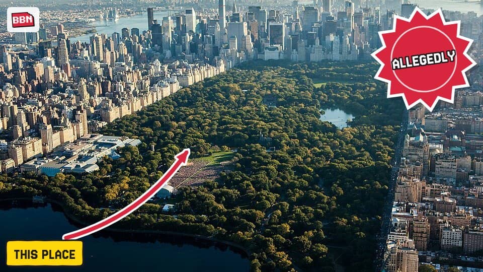 Photo: Central Park