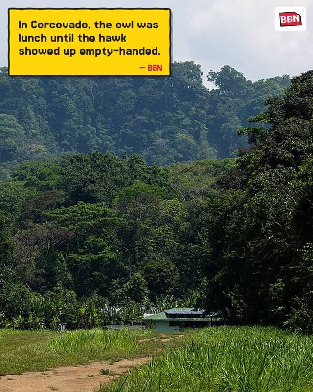 Photo: Corcovado National Park
