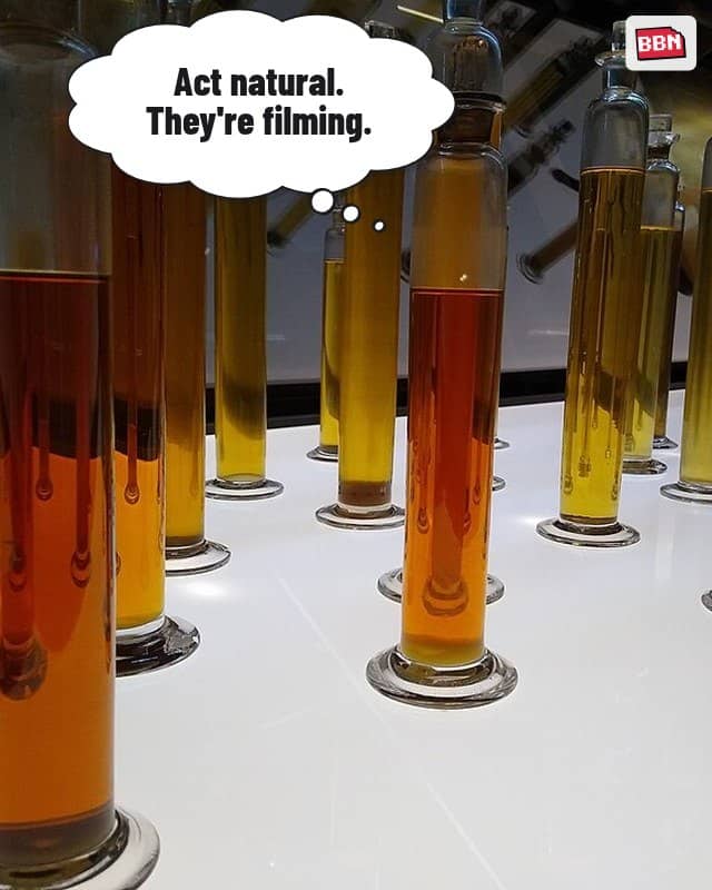 Photo: Eucalyptus oil