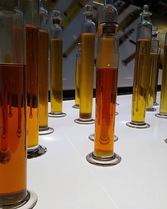 Photo: Eucalyptus oil