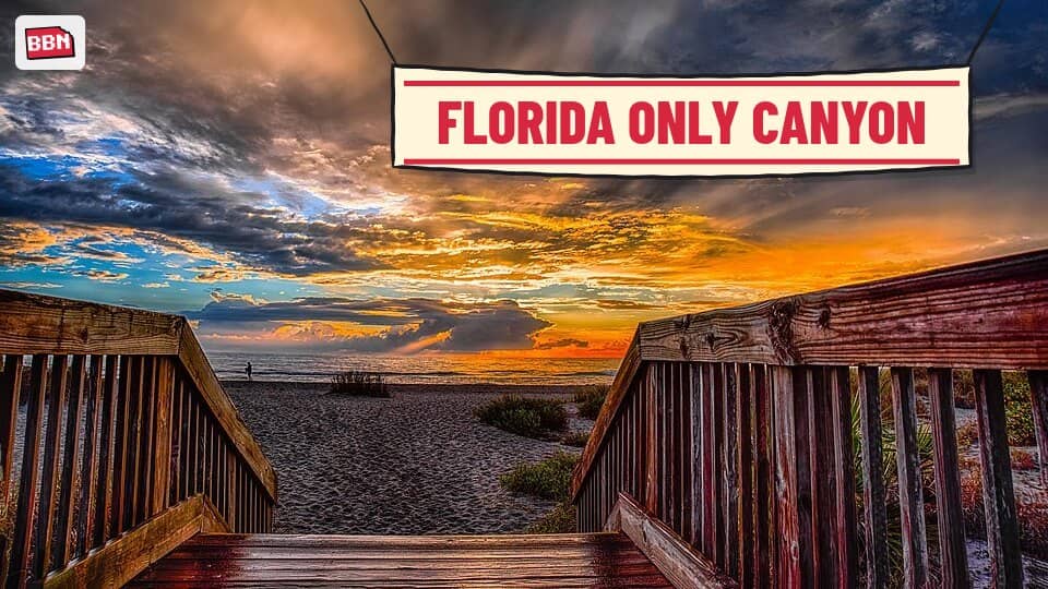 Photo: Florida