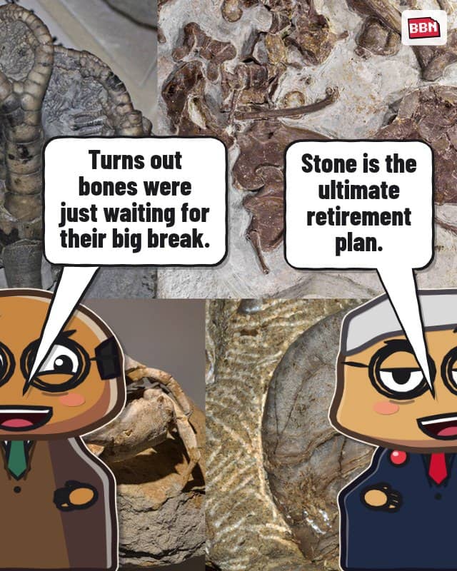 Photo: Fossil