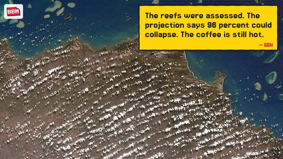 Photo: Great Barrier Reef