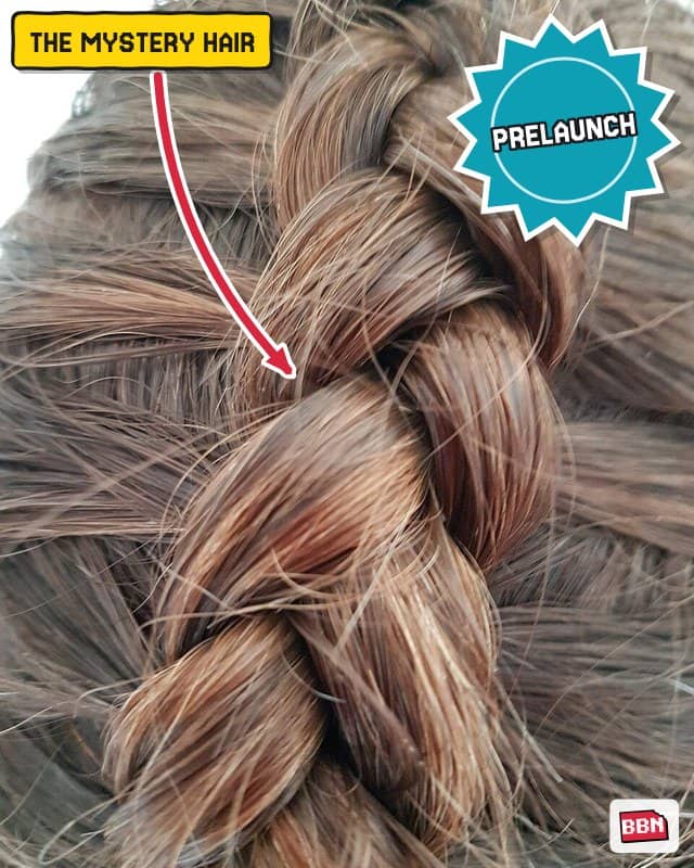 Photo: Braid (hairstyle)
