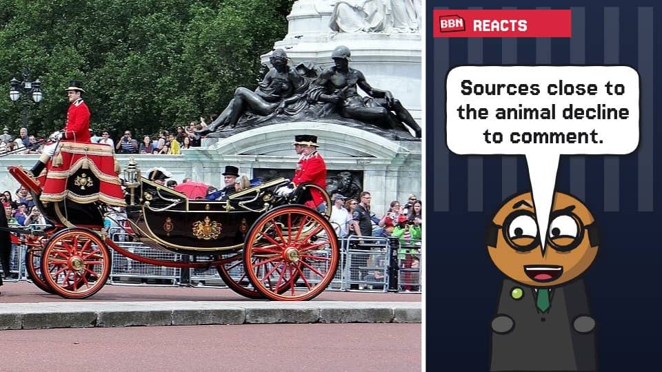 Photo: Carriage