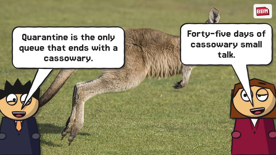 Photo: Kangaroo