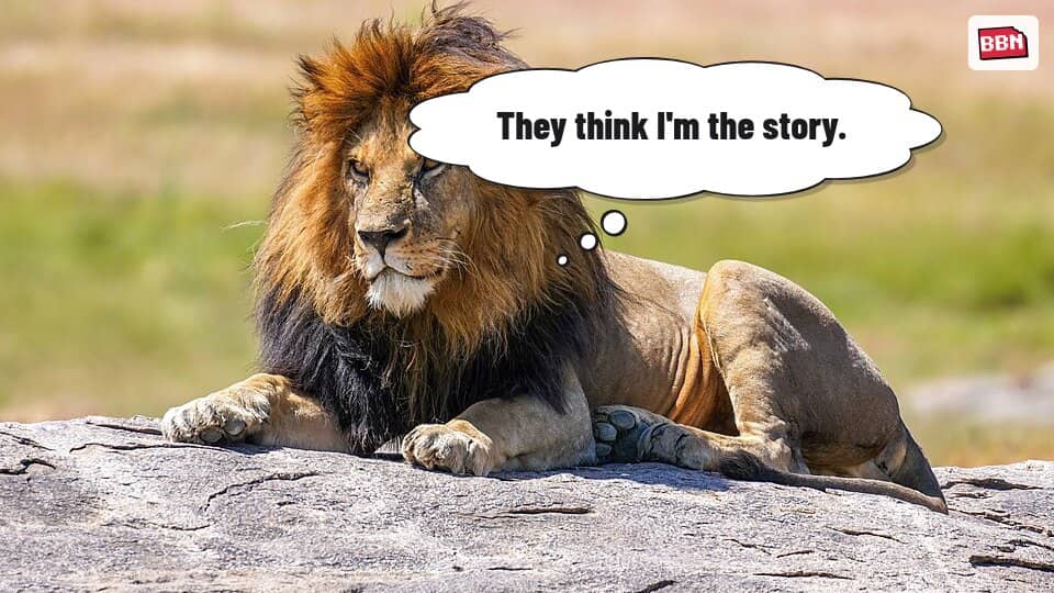Photo: Lion