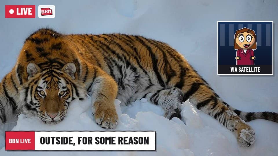 Photo: Minnesota Zoo