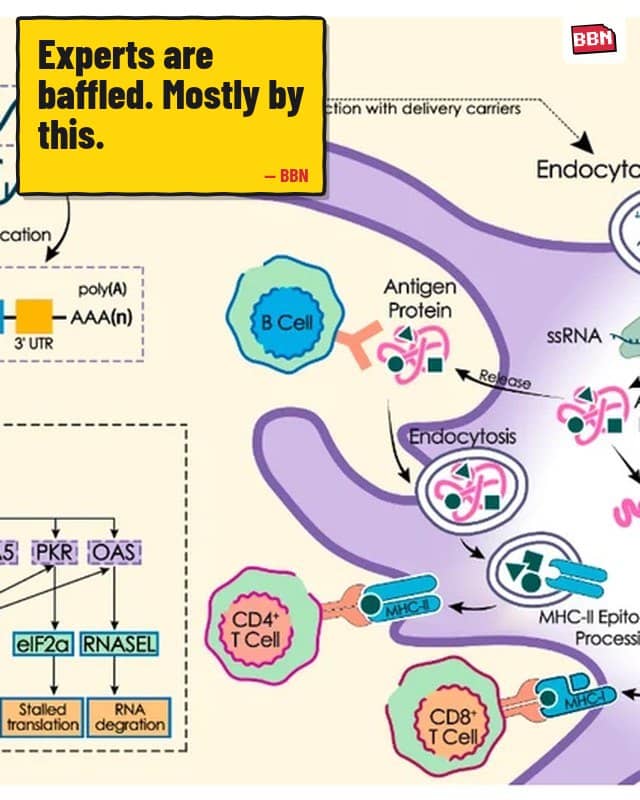 Photo: MRNA vaccine