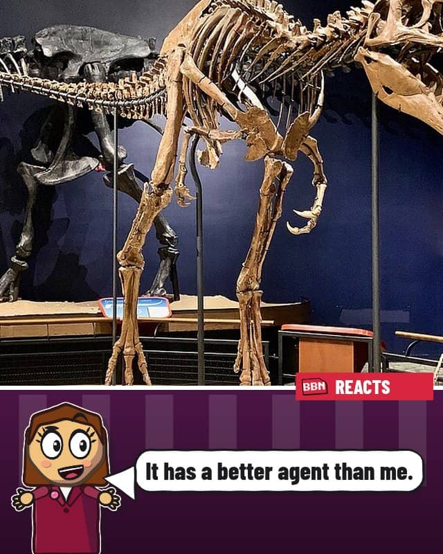 Photo: Nanotyrannus
