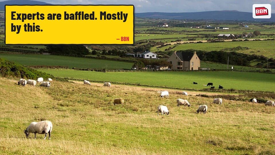 Photo: Northern Ireland