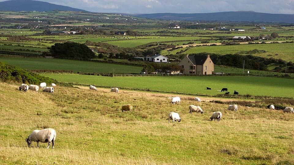 Photo: Northern Ireland