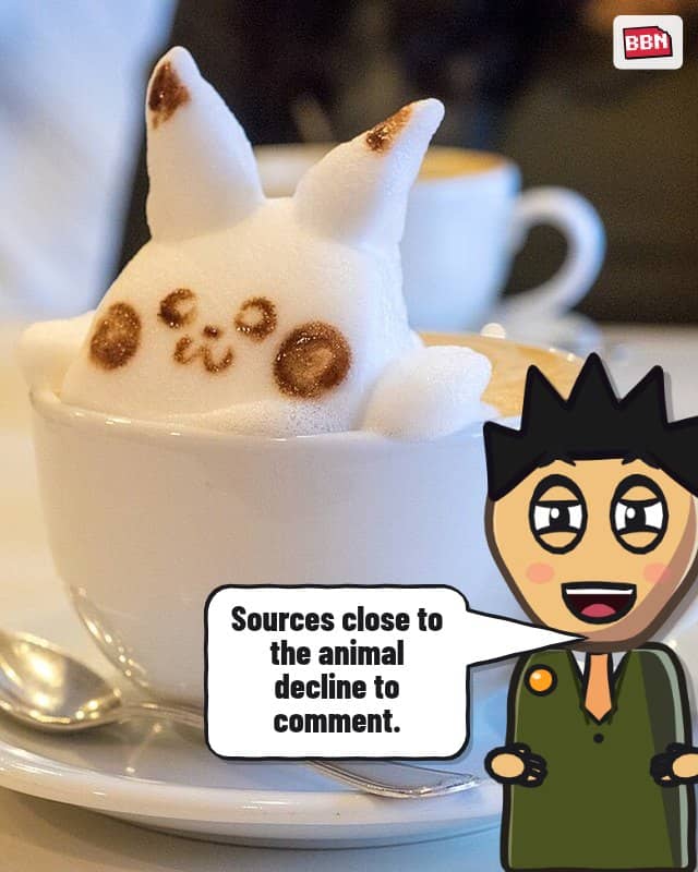 Photo: Pikachu