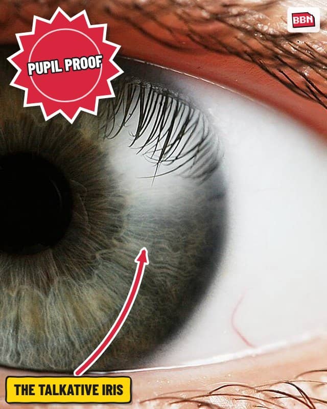 Photo: Pupil