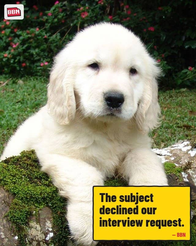 Photo: Puppy