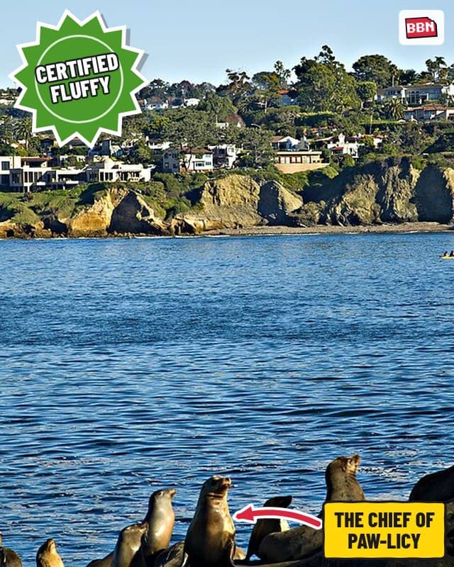 Photo: San Diego