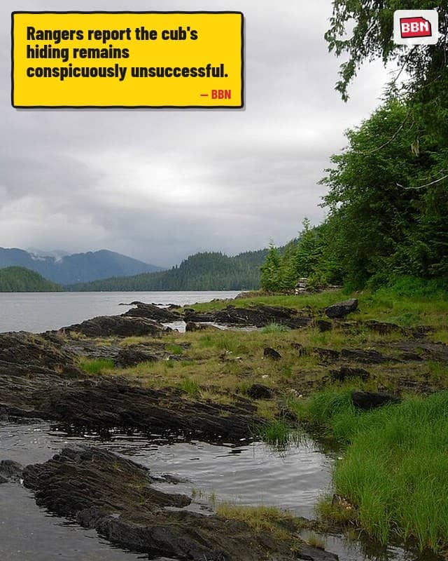 Photo: Tongass National Forest