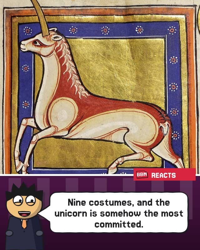 Photo: Unicorn