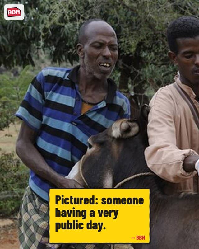 Photo: Veterinary medicine