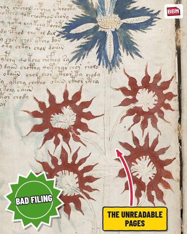 Photo: Voynich manuscript